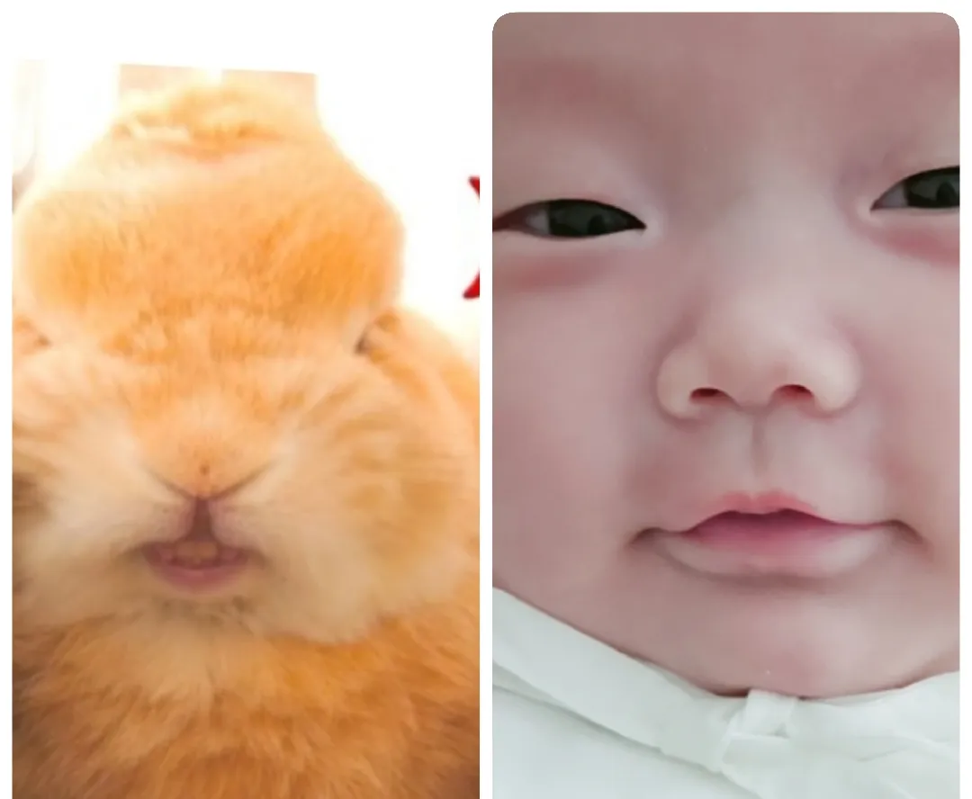 울 애기 입