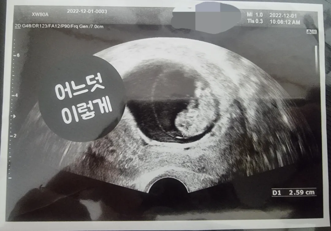 찰떡이가 손 흔들어줬어요♡