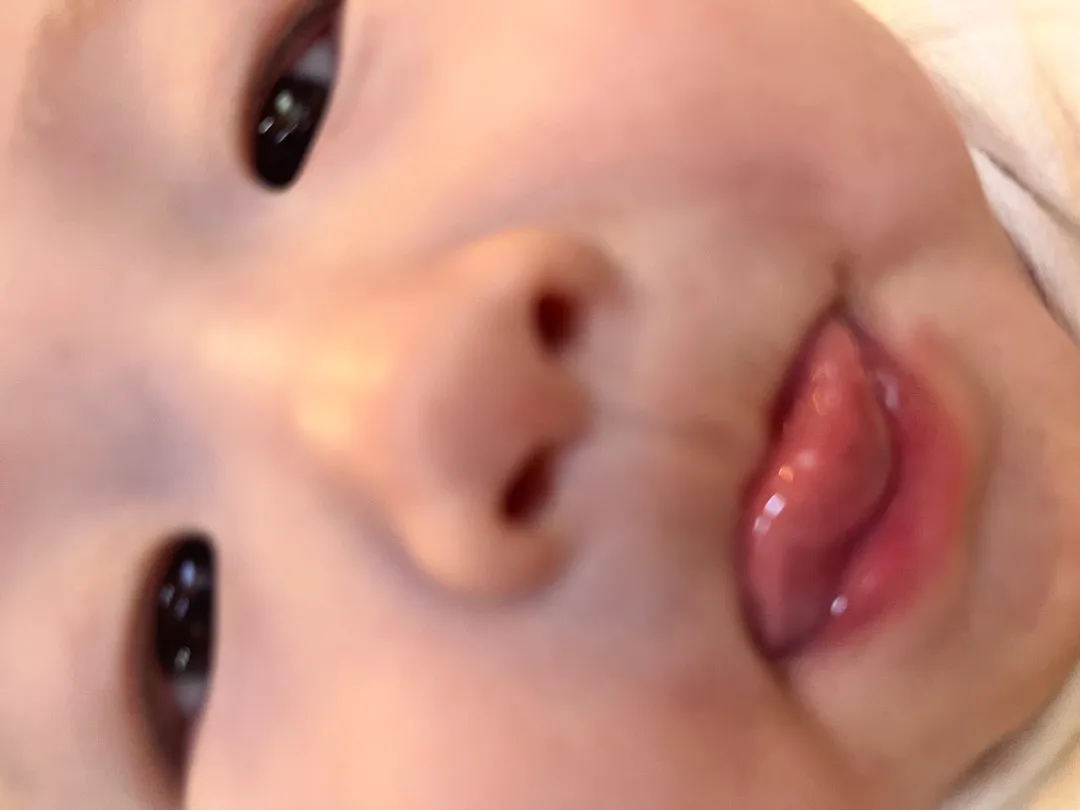 쿼카짤