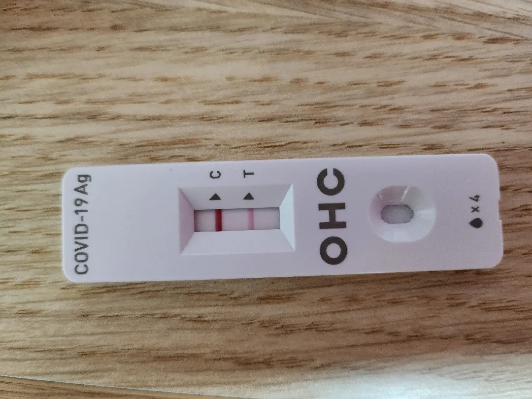 코로나자가키트 양성