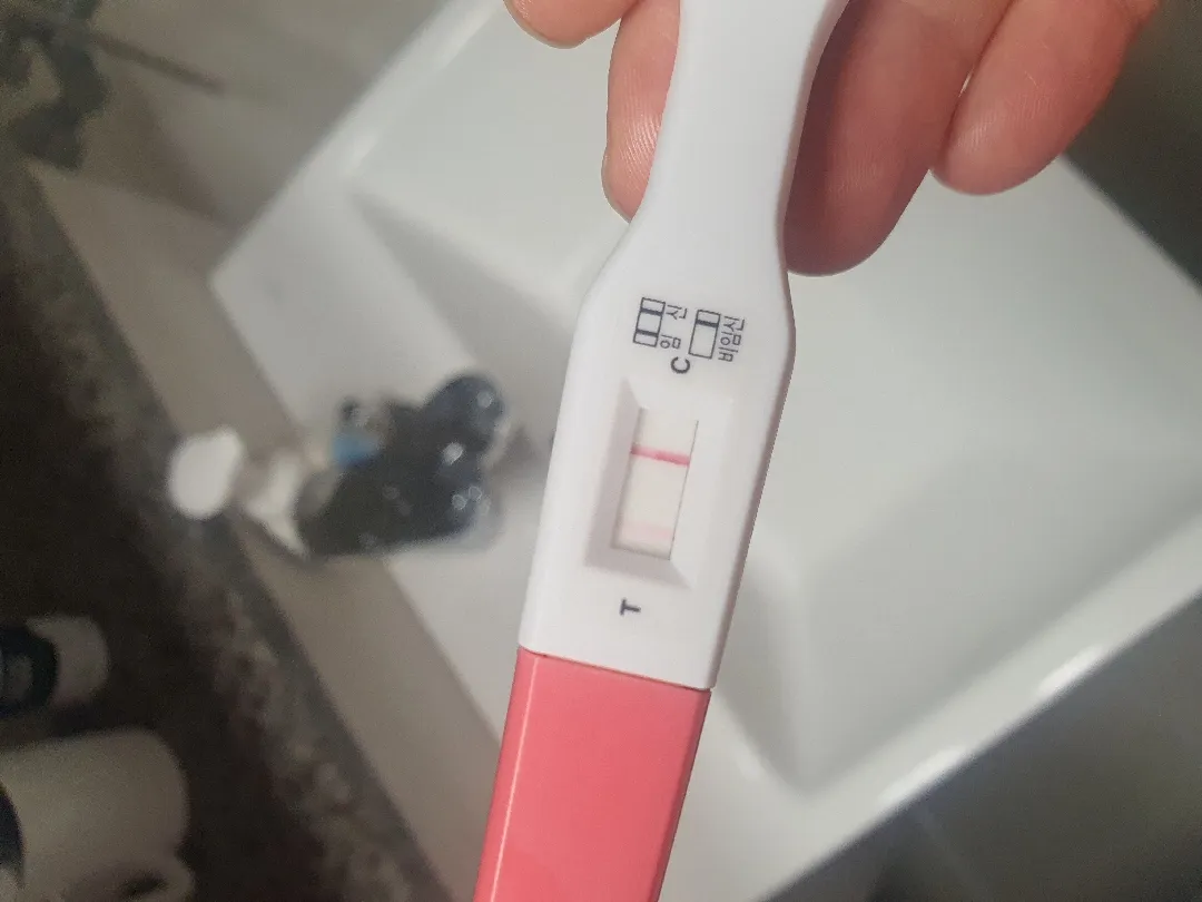 임테기가 이거 맞는건가요?