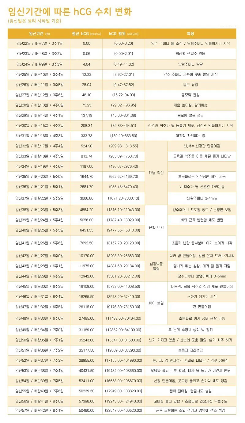 젤리곰을 보려면 언제 가야될까요?