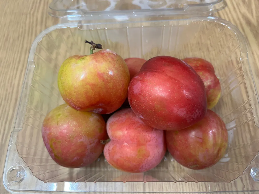 자두 드디어 먹었네요🥰