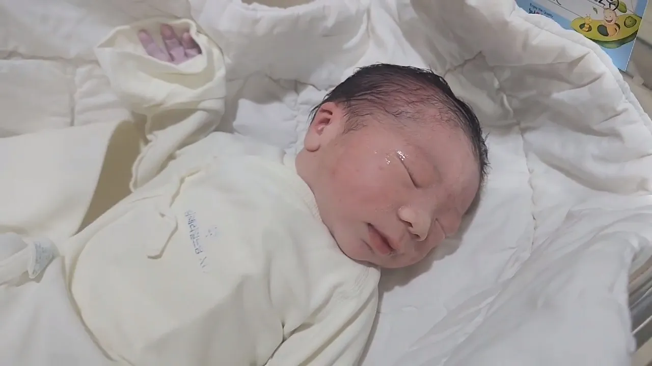 제왕으로 아기만났어요!