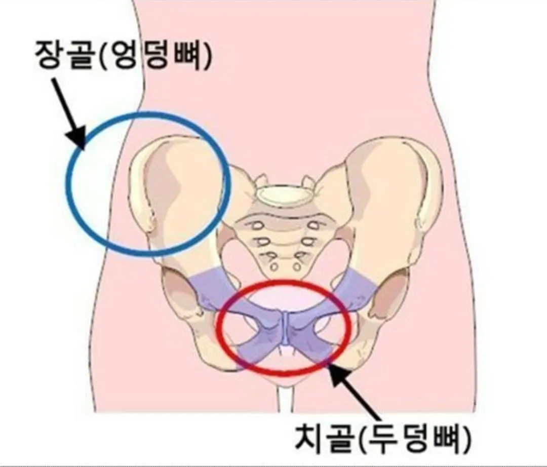 34주 초산맘인데 치골 부위가 너어무 아파요ㅠㅠ