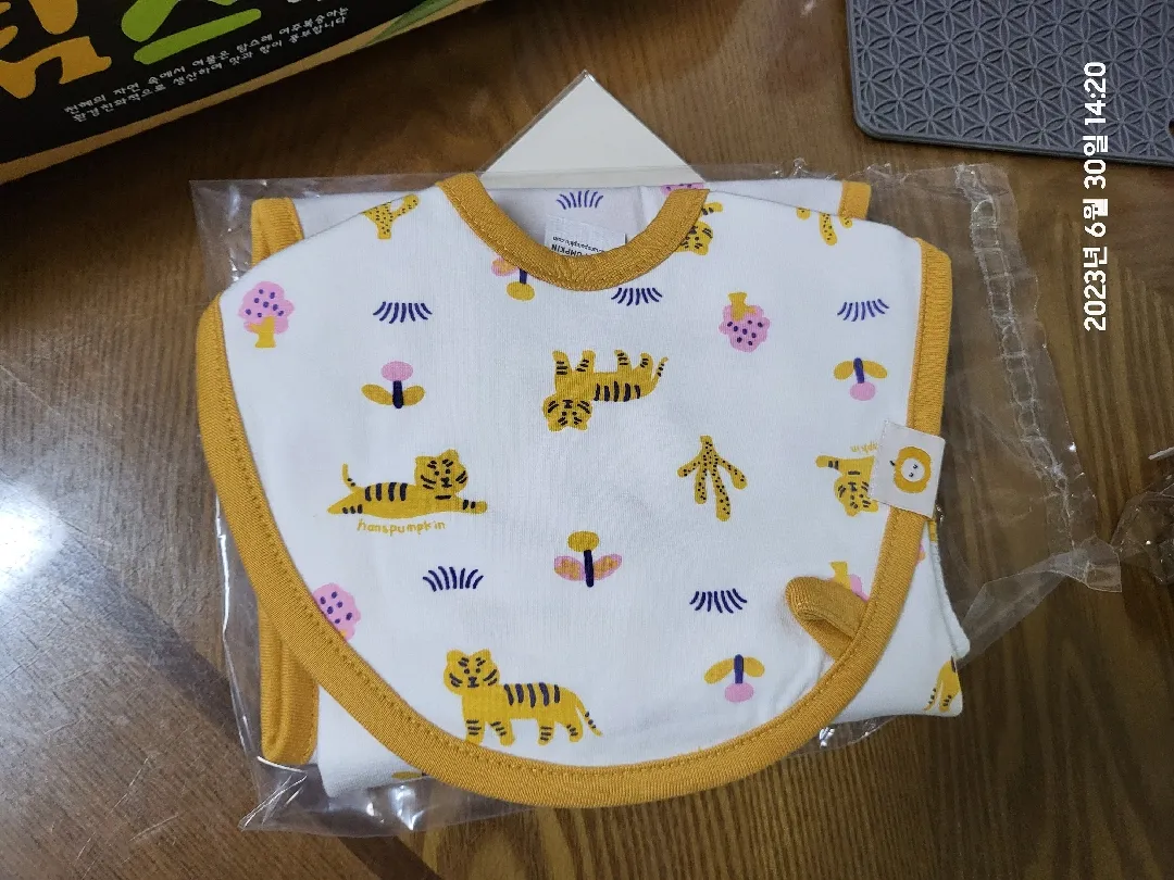 한스펌킨 출산 박스(?)