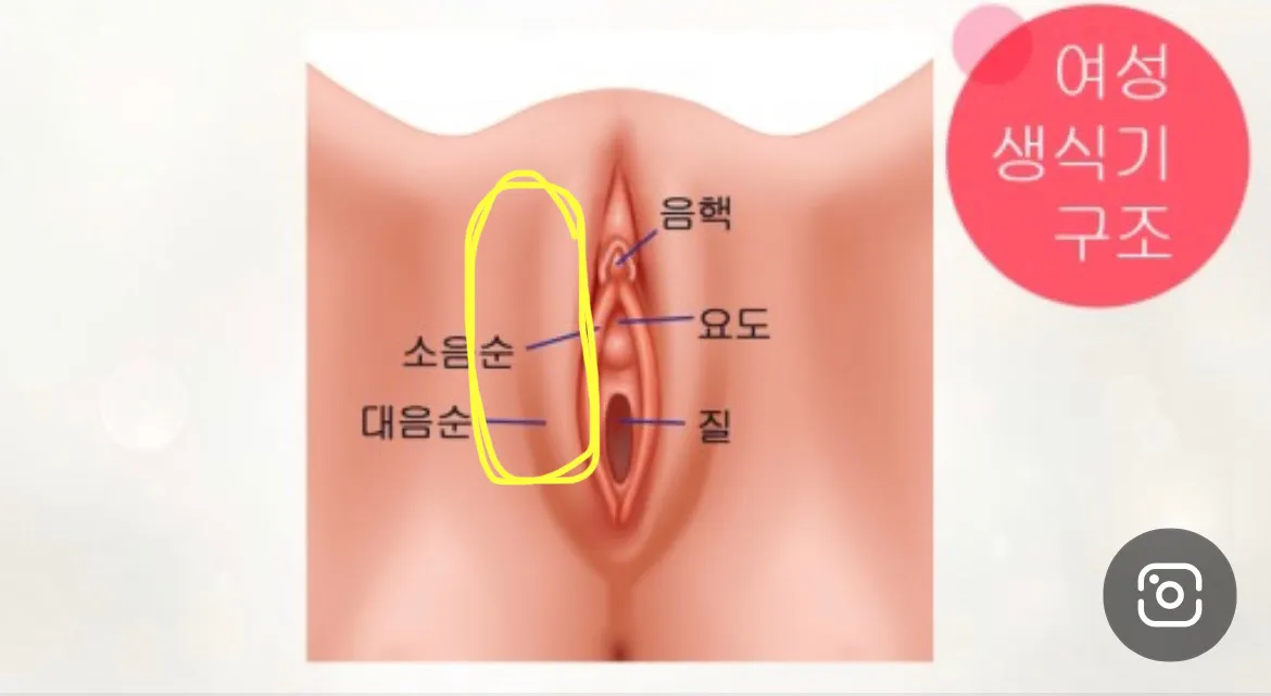 통증,,