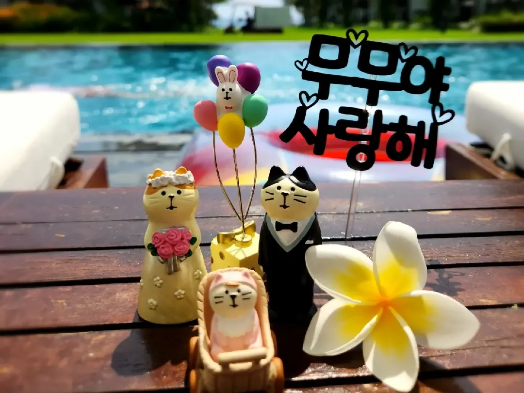 나트랑 태교여행 다녀온것 후기 남겨요
