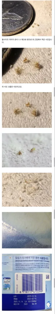 압타밀에 이물질 나왔대요 ,,!