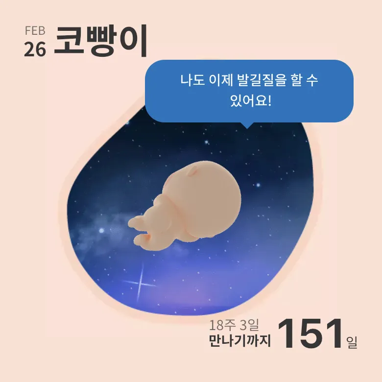 아랫배에 태동