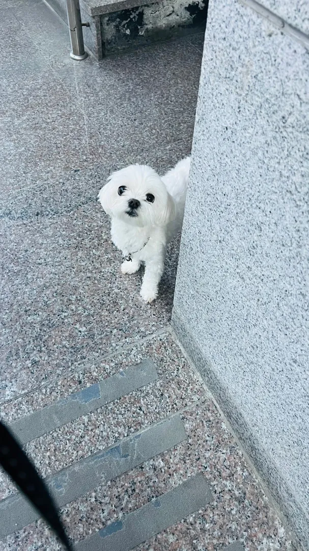 안녕하세요~ 아기 인스타 소통해요❤️ 빠른 맞팔갑니댱
