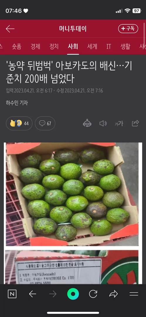 아보카도 입에 달고 살았는데..