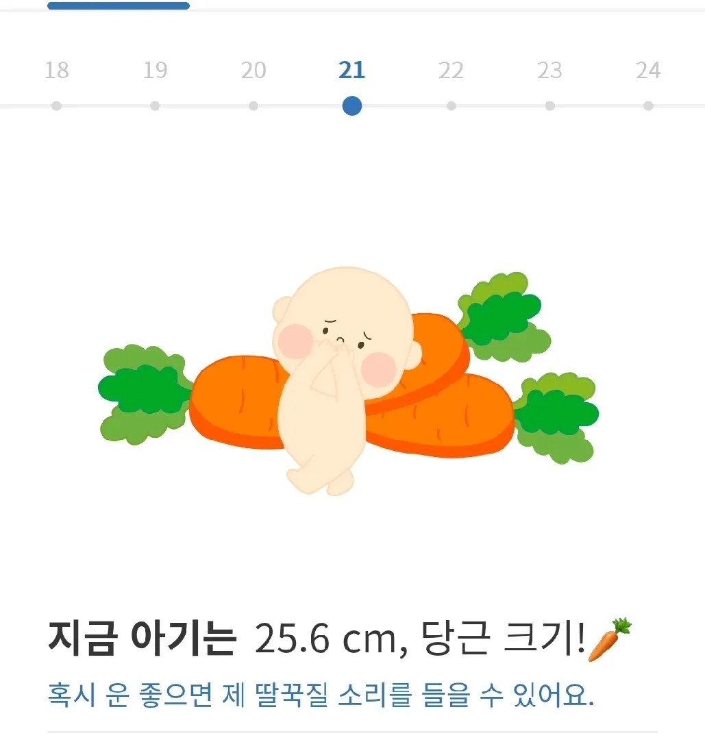 이거 아기 크기 대략 맞는걸까요?