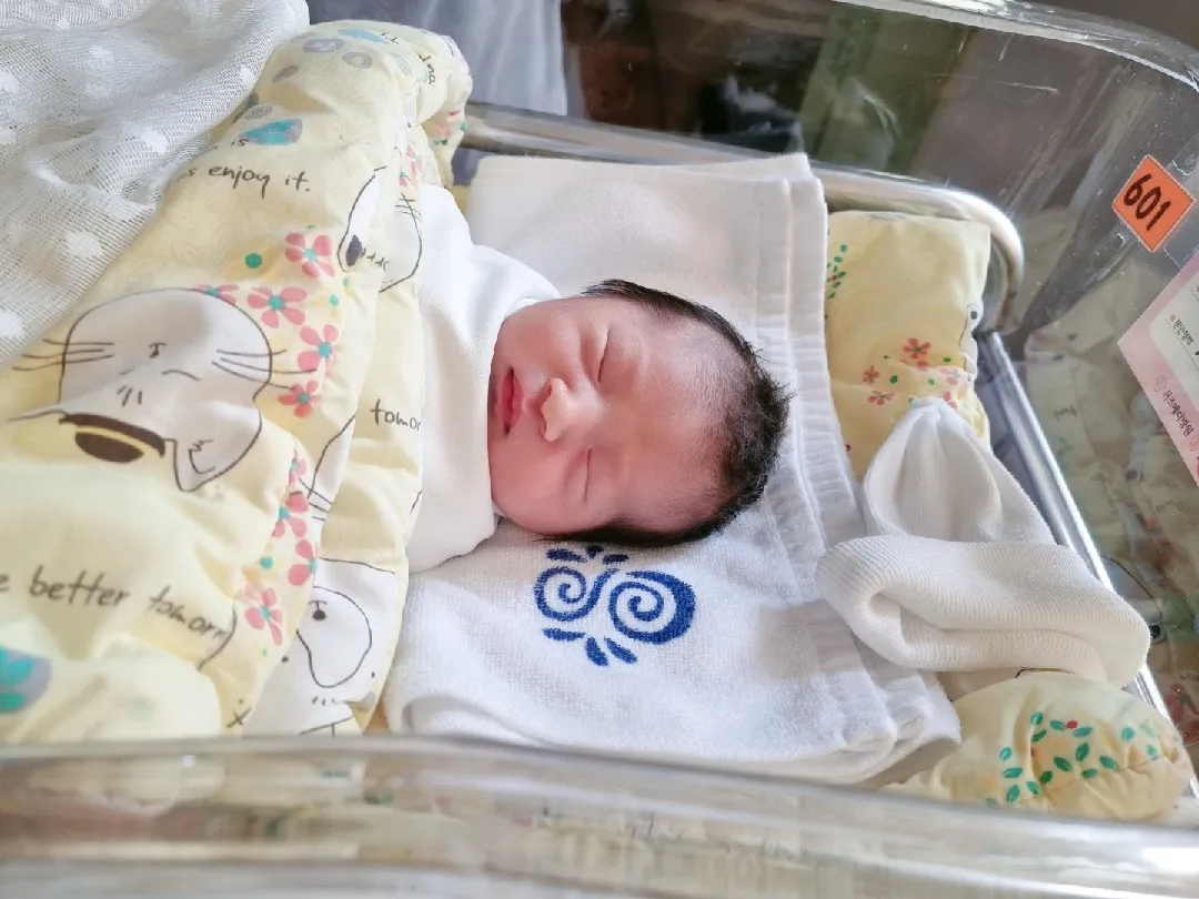 7월31일 오후 15시31분 복땡이 제왕절개 출산