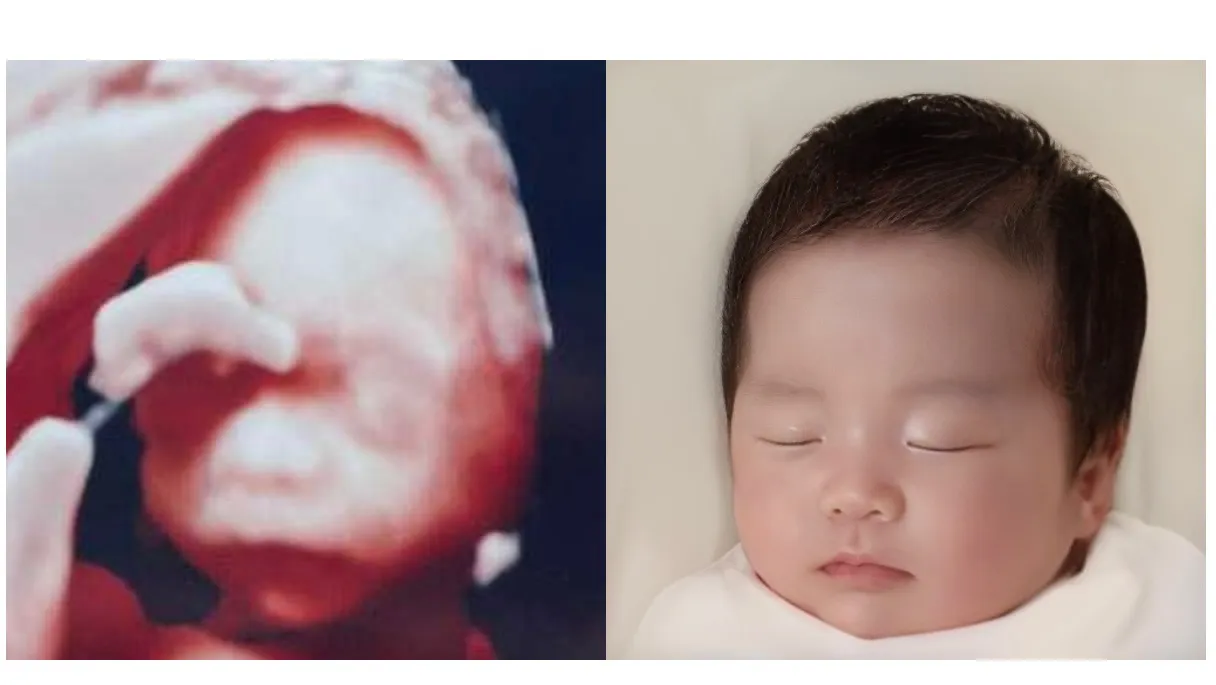 베이비페이스 추천 ♥️