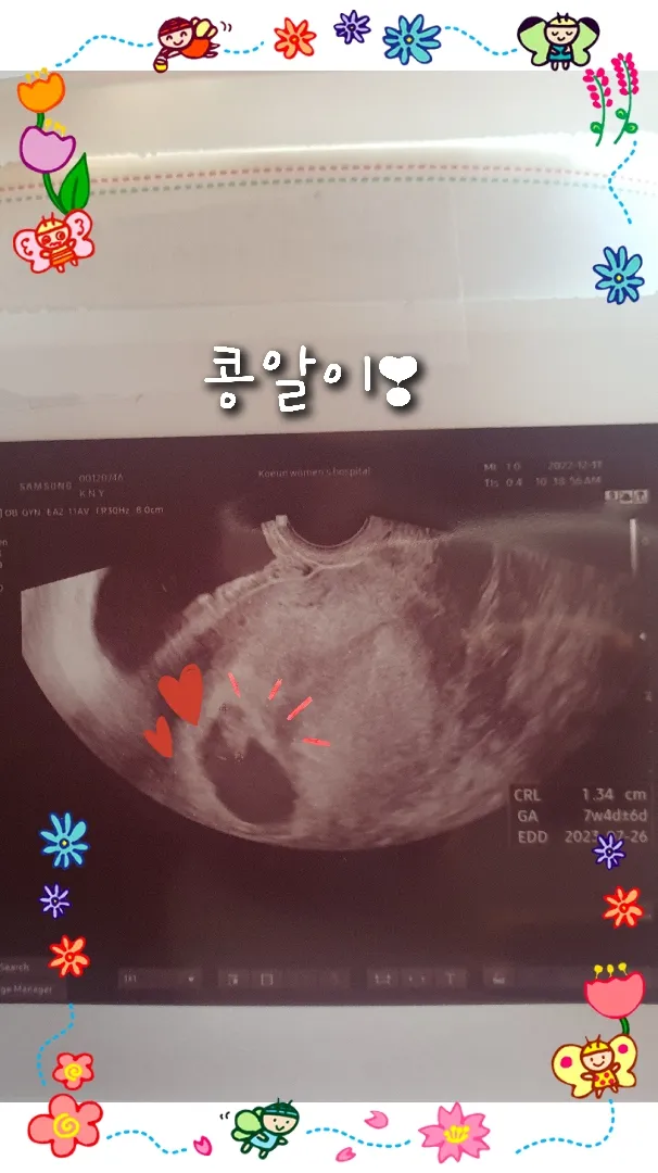 태아보험 추천해주세요~