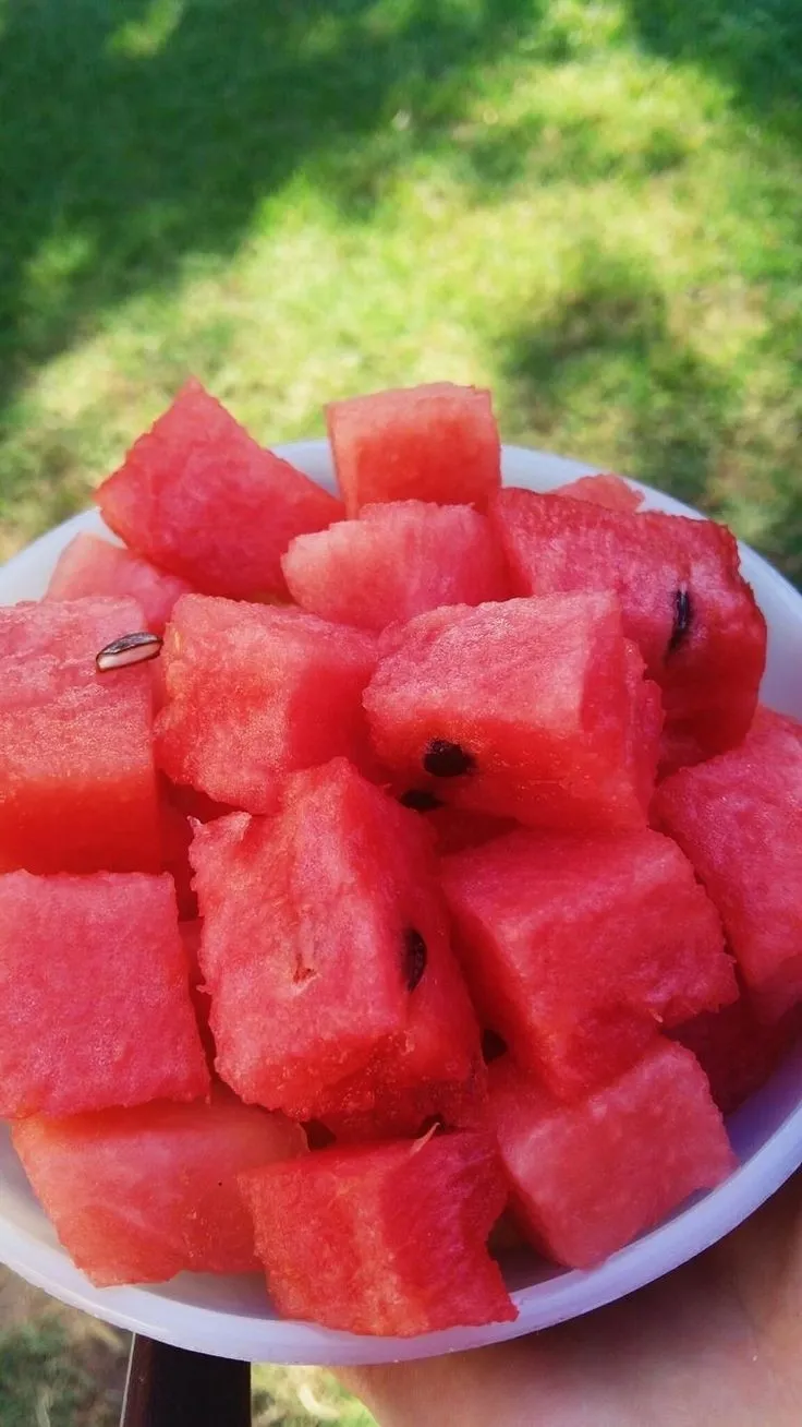 정말 맛있는 수박 먹고싶은데