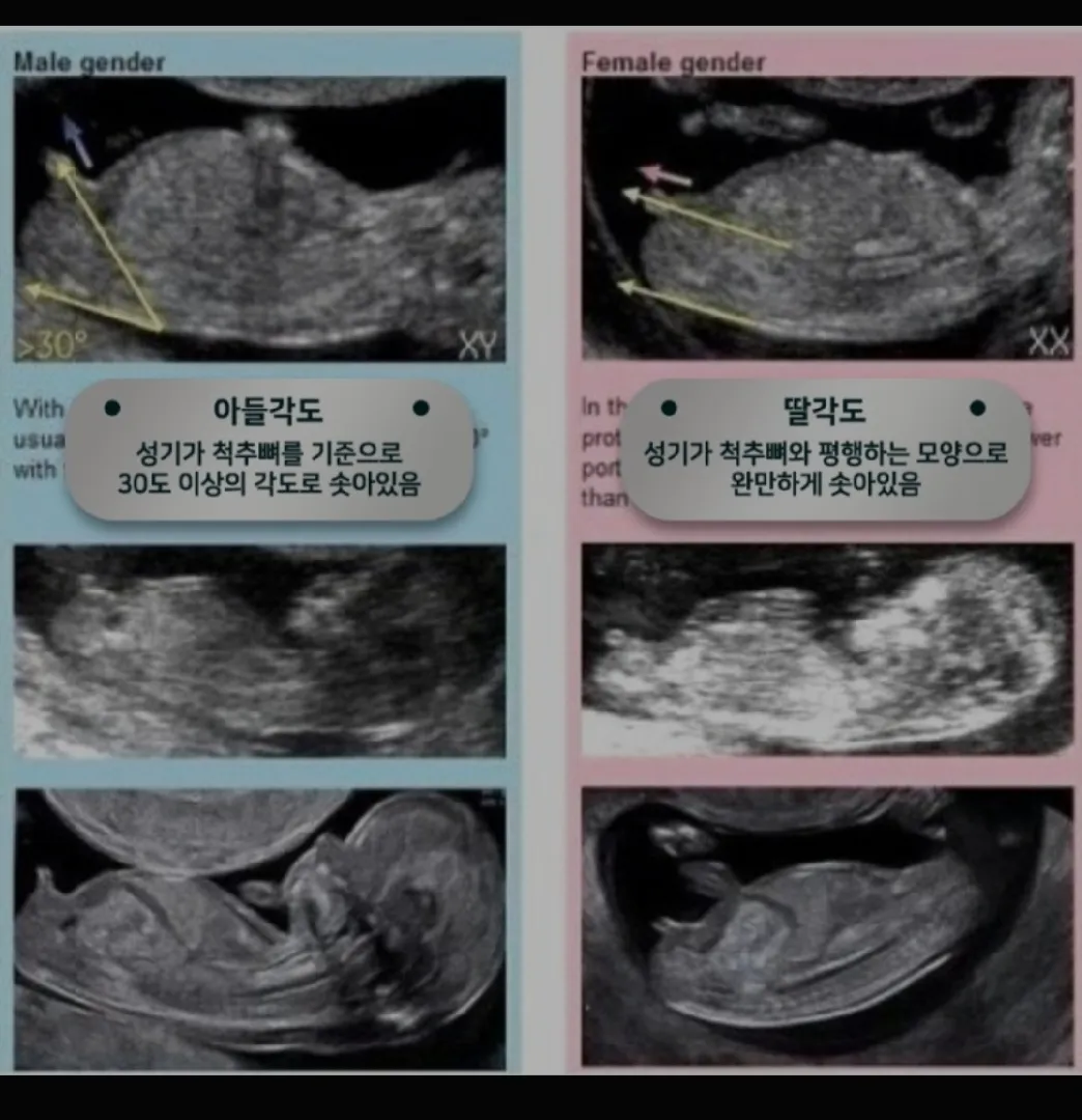 각도법 보는 방법이요