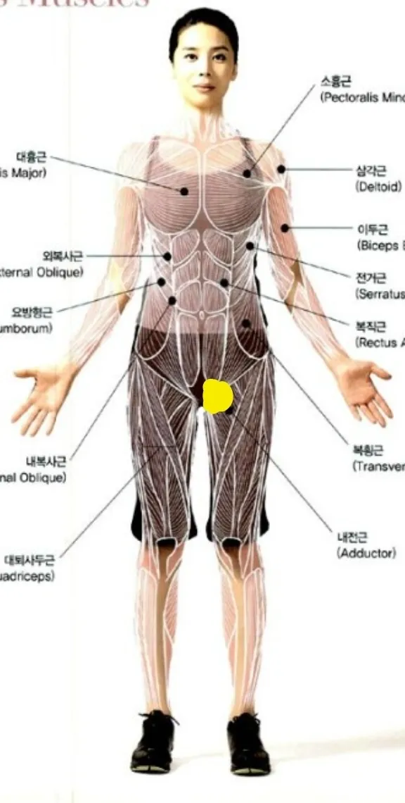 소중이 밑에가 왼쪽만 아파여!!!ㅜㅜㅜㅜ