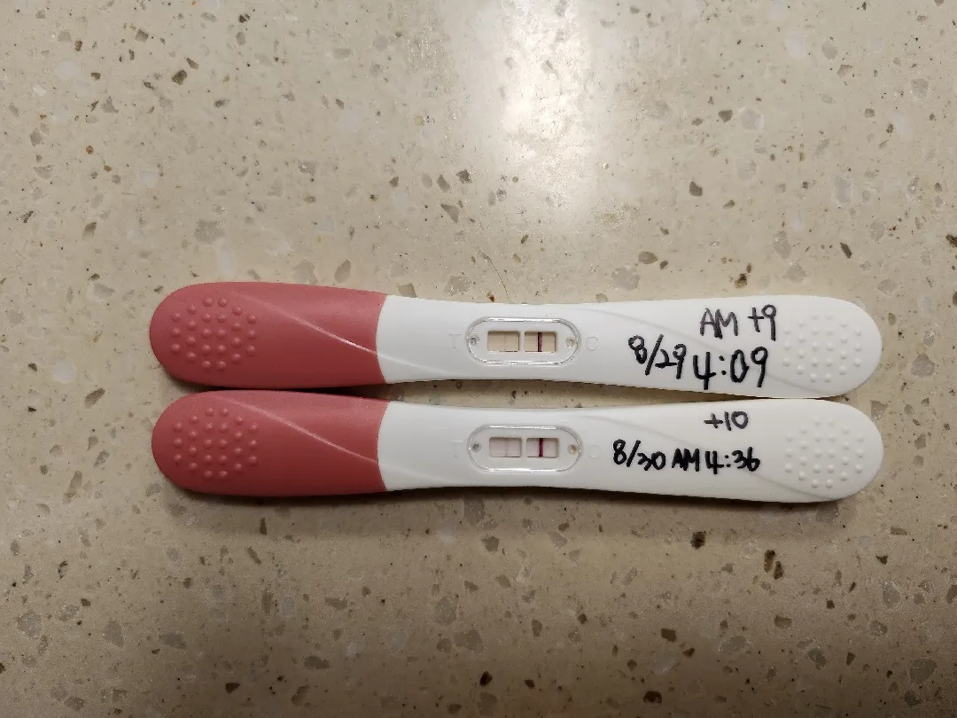 배란 10일차 두줄확인 했어요😆