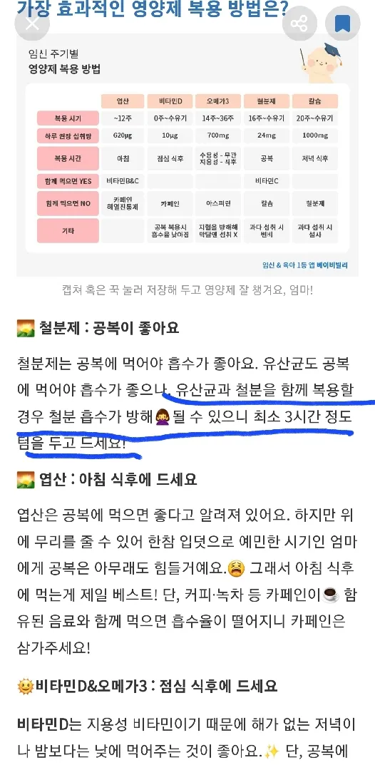 철분+유산균 같이 먹어도 되는건가요?