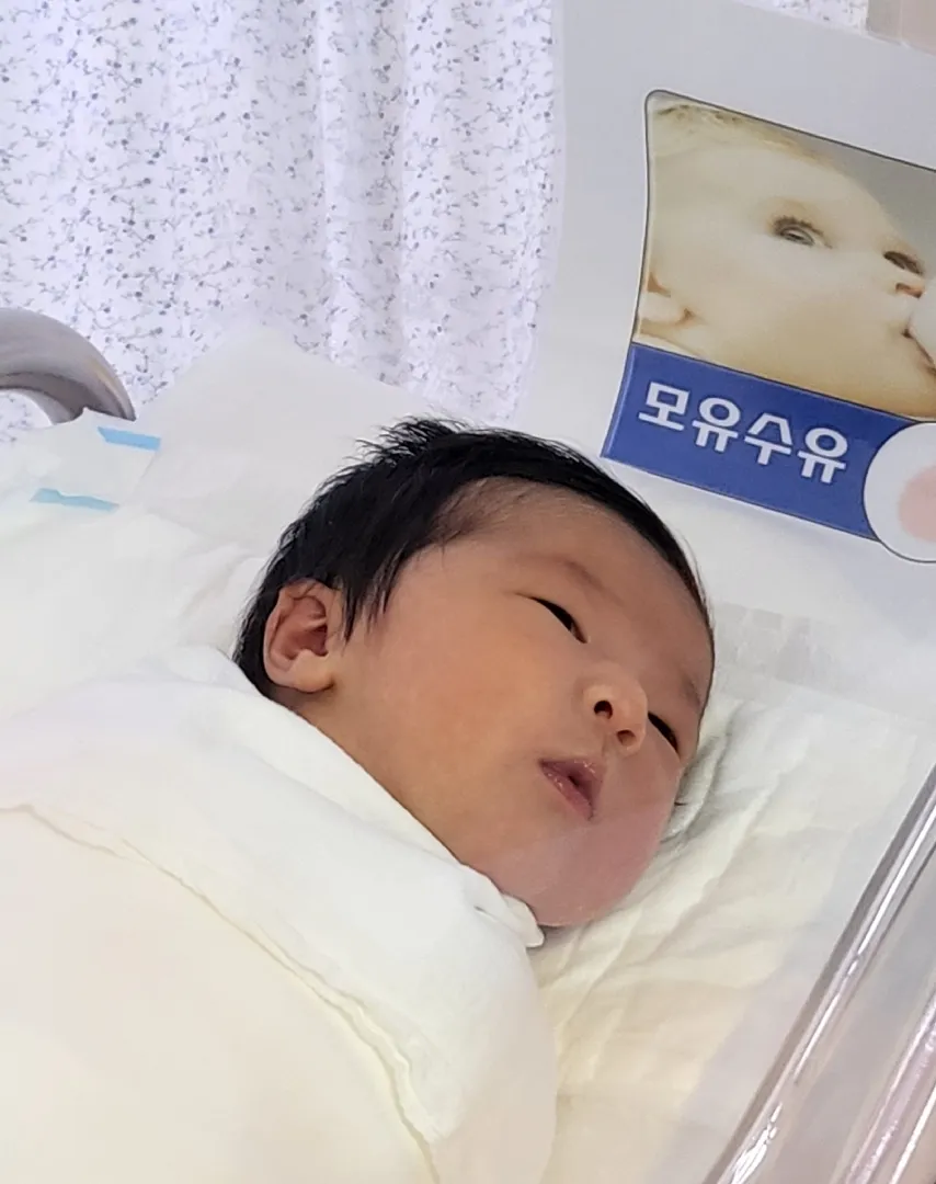 제왕절개 4일차, 후회하지 않아요.