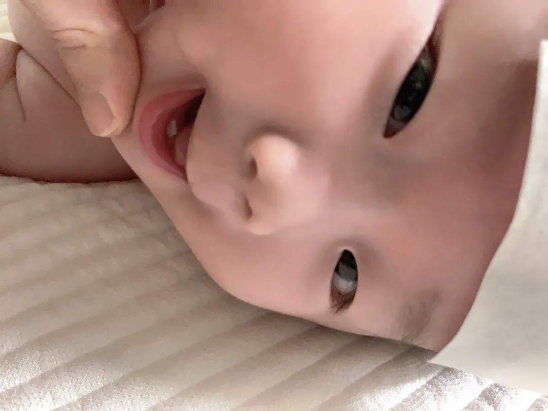 의자 고민