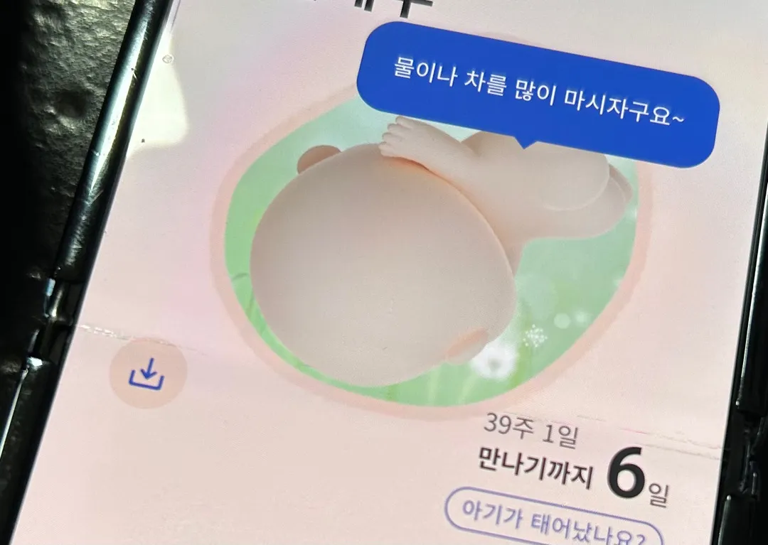 베이비빌리 만삭 미리보기 ㅎㅎ