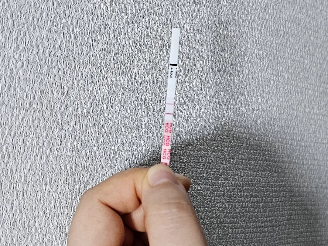 임테기 두줄! 