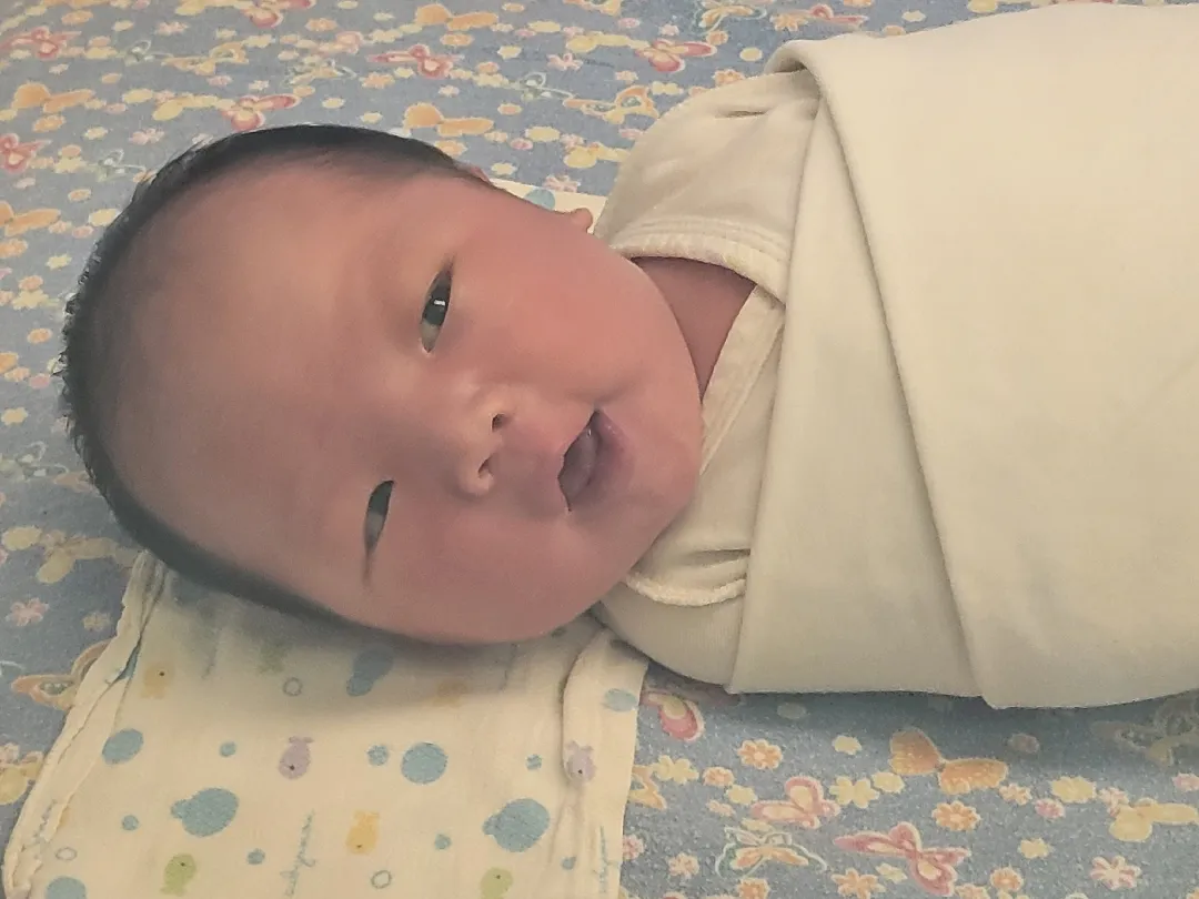 39일5일차 생후5일차 쫑긋이가 나왔어요 ㅎㅎ