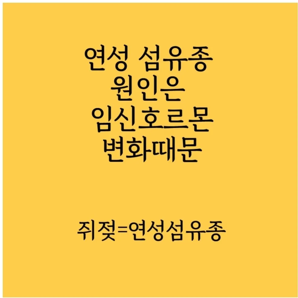 임신중 쥐젖 생기신분?