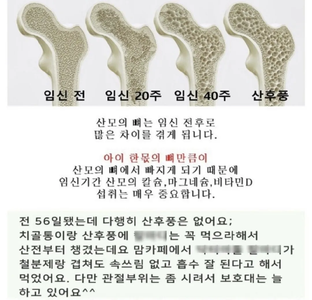 다들 칼슘 영양제로 챙겨드시나요?