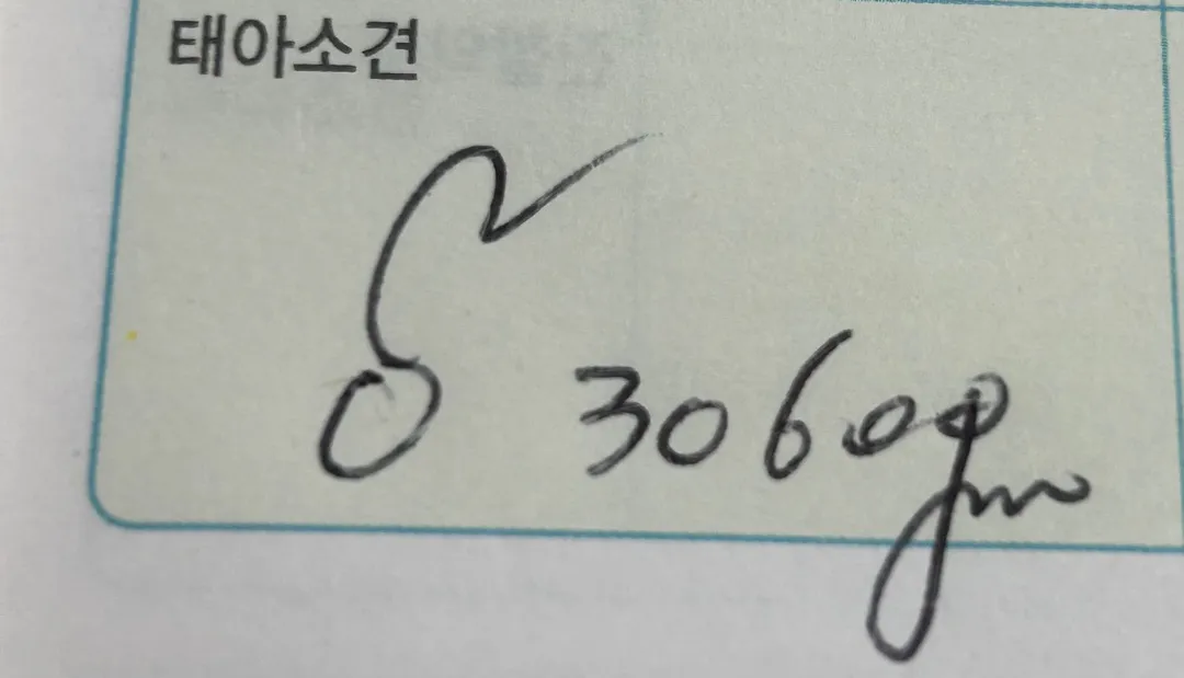 자분 생각이였는데 애기가 좀 크대요 ㅠㅠ