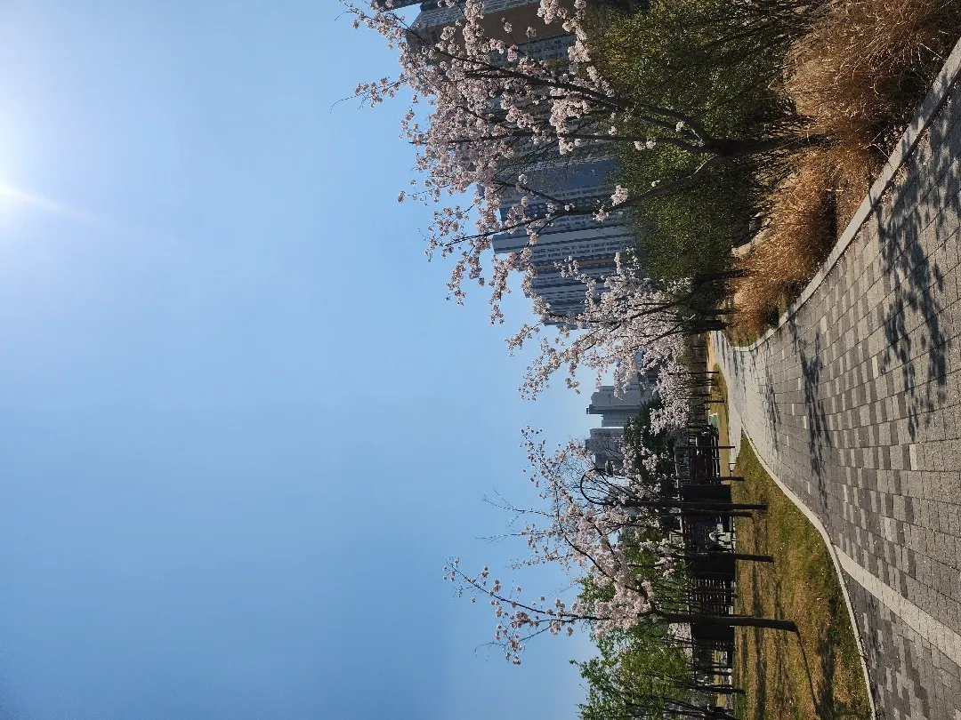community post image