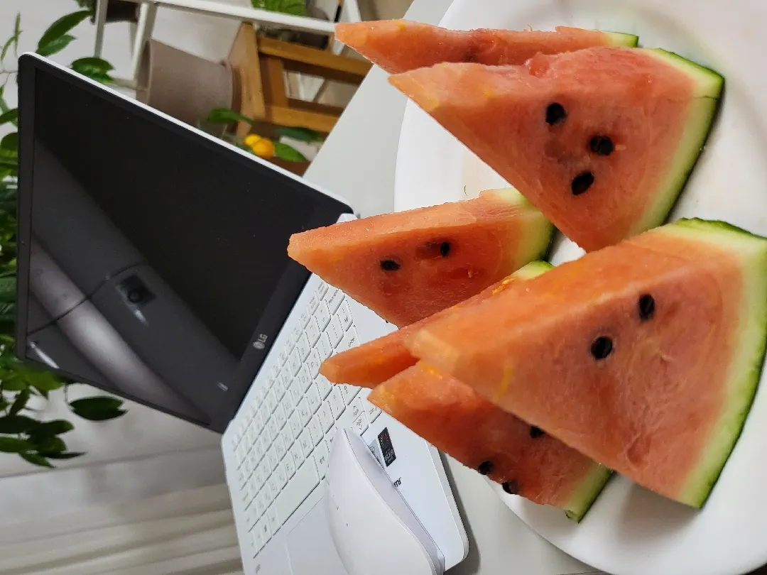 먹고싶은 과일_수박🍉🍉🍉