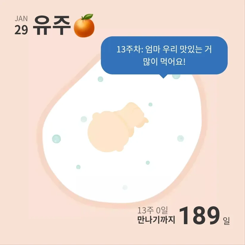 13주차, 입덧 좋아졌어요