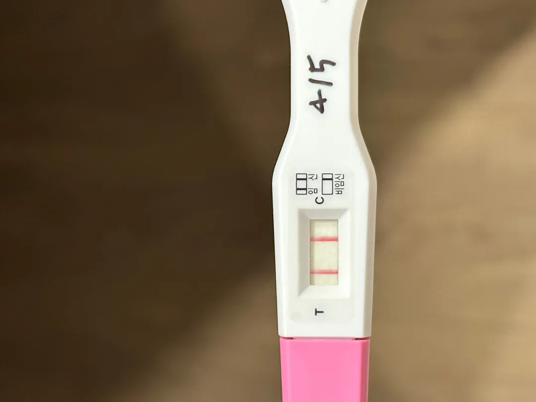 19일or20일 배란이셨던분!!!ㅎㅎ