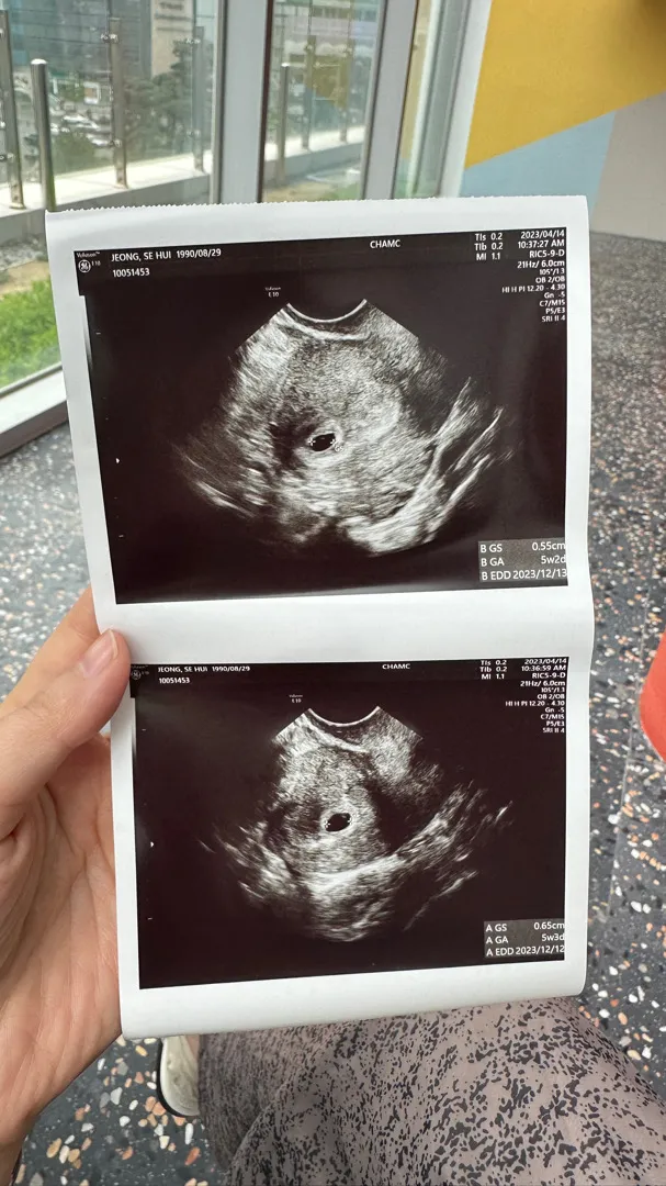 쌍둥이 맘이 되어버렸네요!