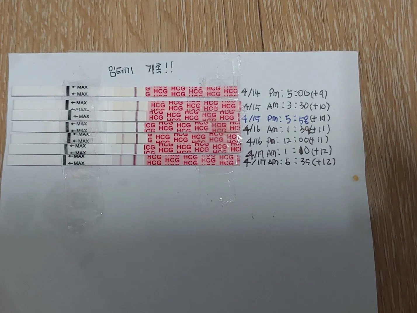 진하기 원래ㅠㅠㅠ연해지기하는건가요?
