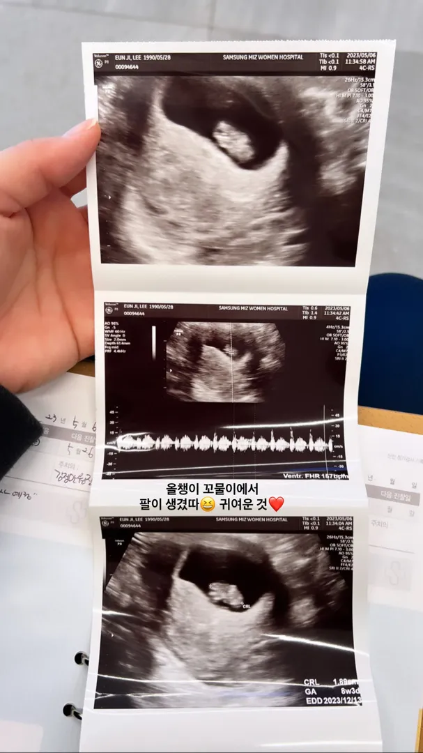 배 촘파 보고 왔어요!
