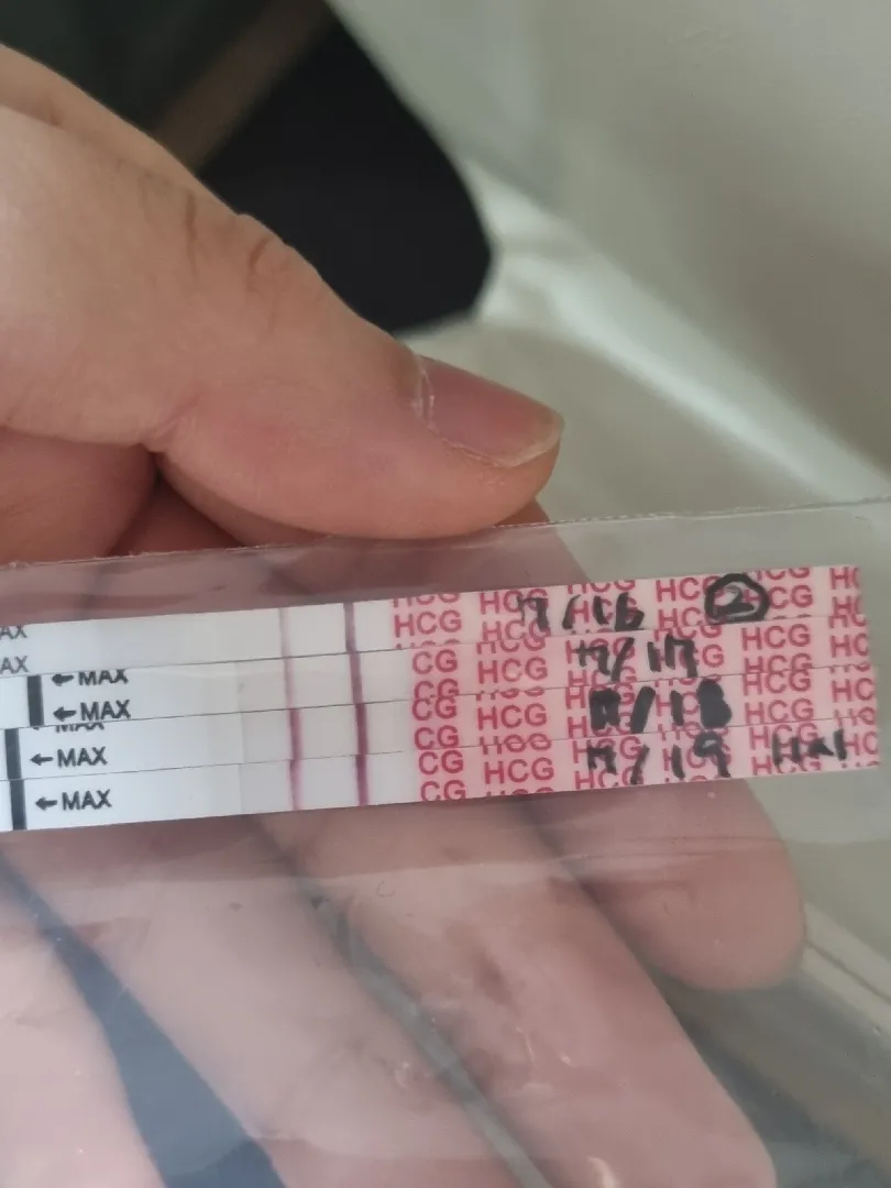 원포 임테기 아침소변이 아니면 흐려지기도 하나요?