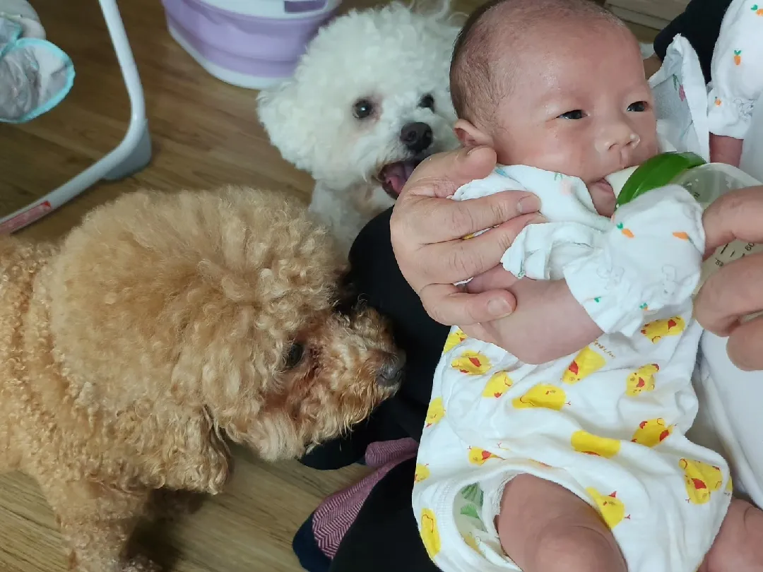애개 육아중 입니다