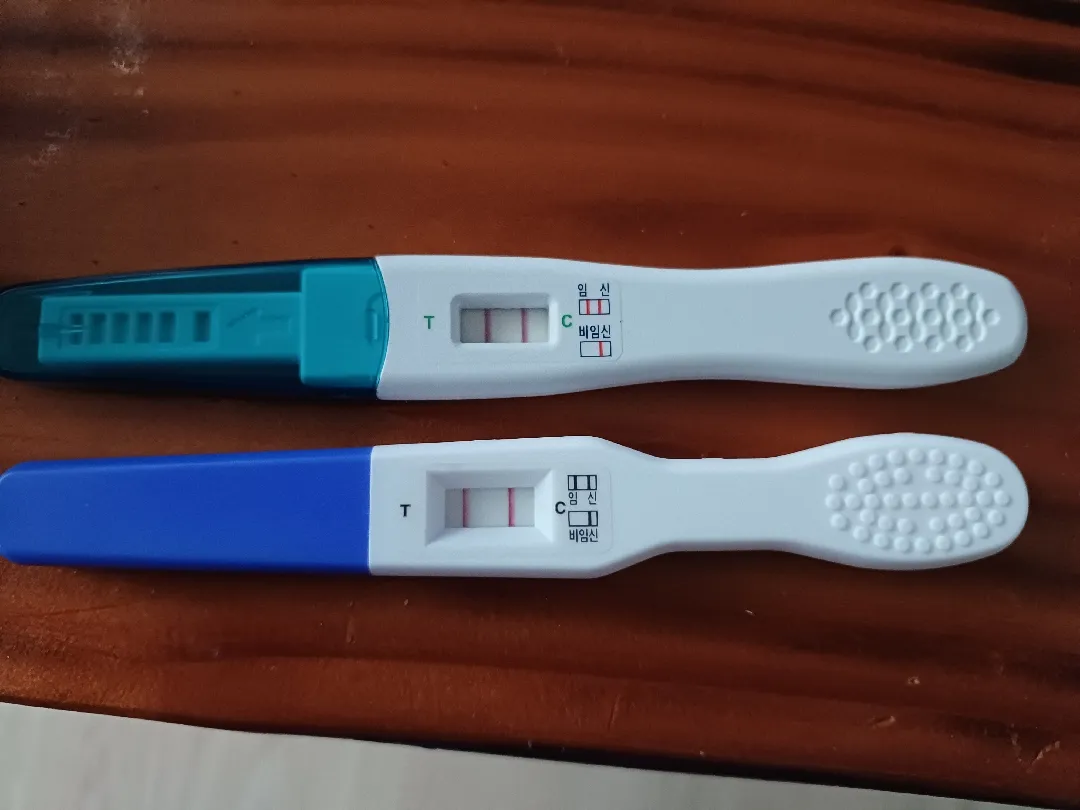 우리토실이생긴날에이런거였는데ㅜ