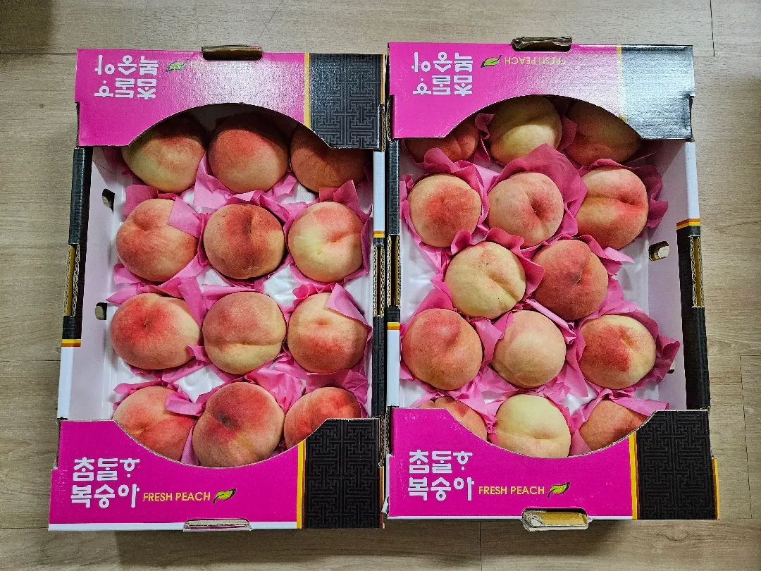 딱딱이복숭아