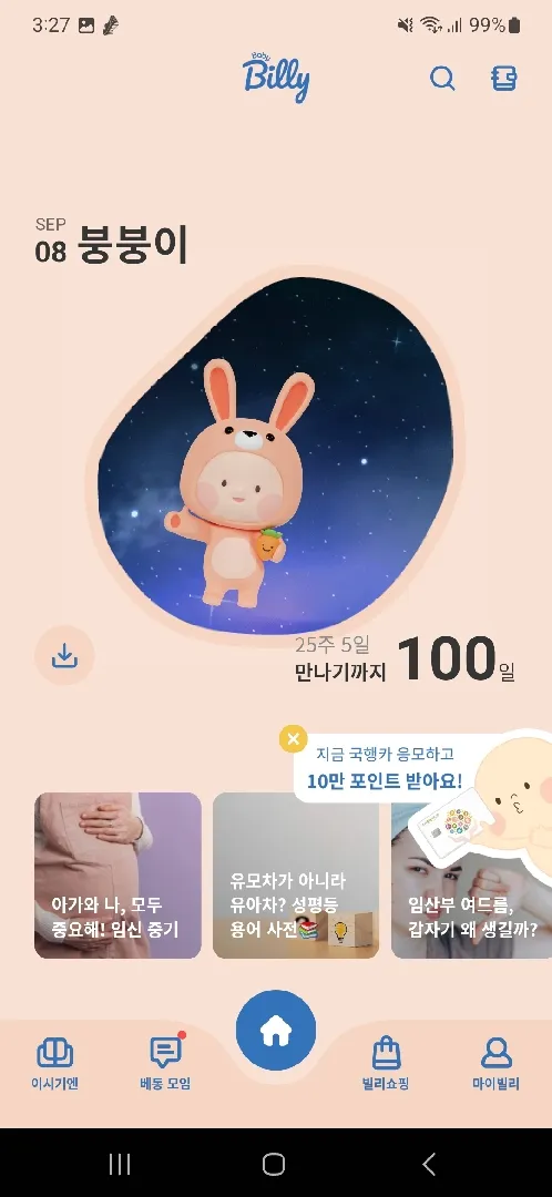 D 💯 일 