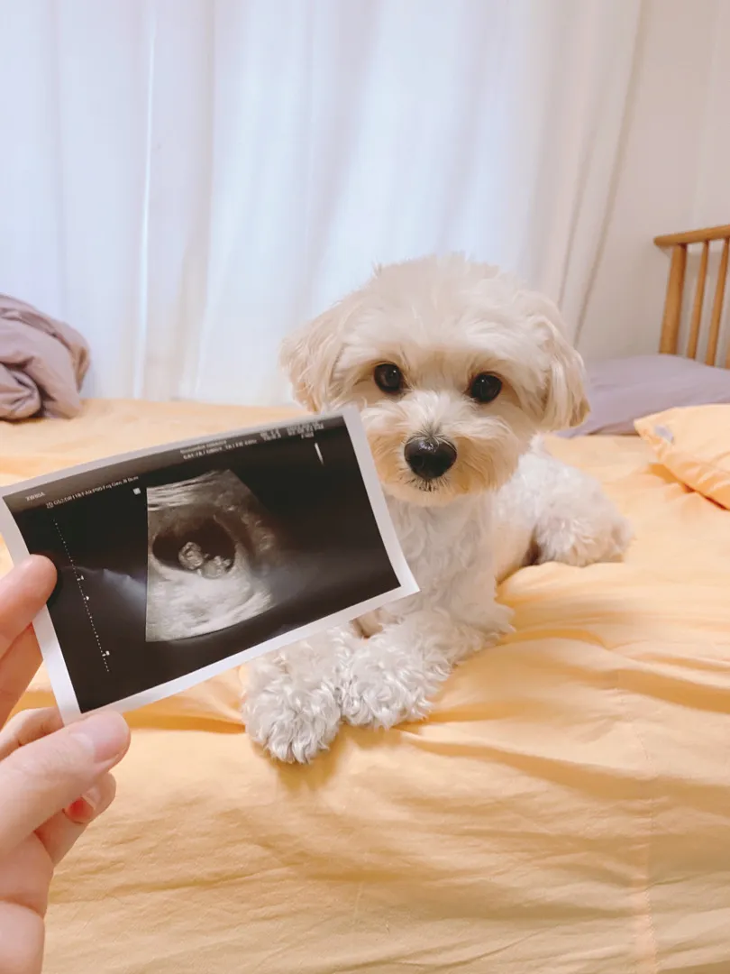 토끼띠🐰 맘들 친구 해요♥️ 애👶🏻개🐶 육아맘이에요♥️