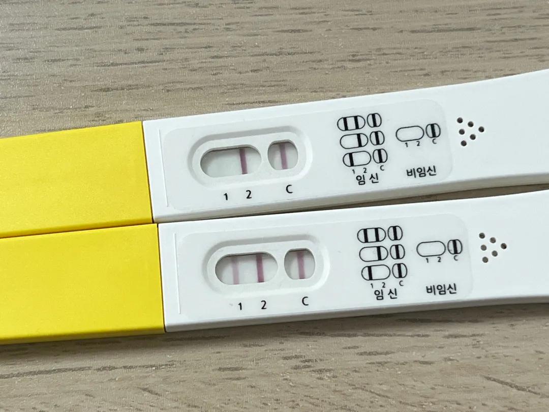 퍼이널체크 임테기 사용해보신분
