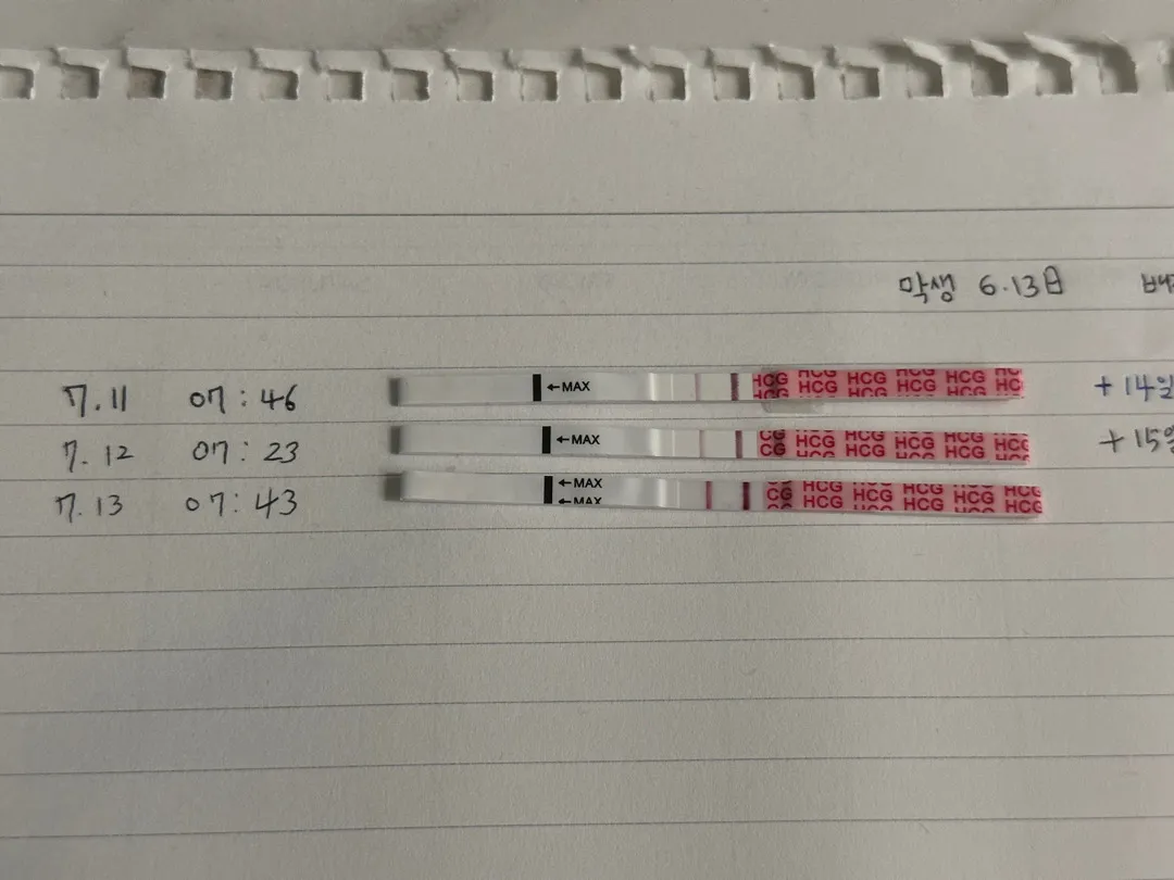 오늘 배란16일차인데 확실히 진해진거같죠??