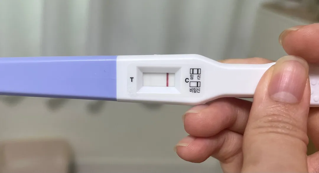 시약선이었을까요?ㅠㅠ 