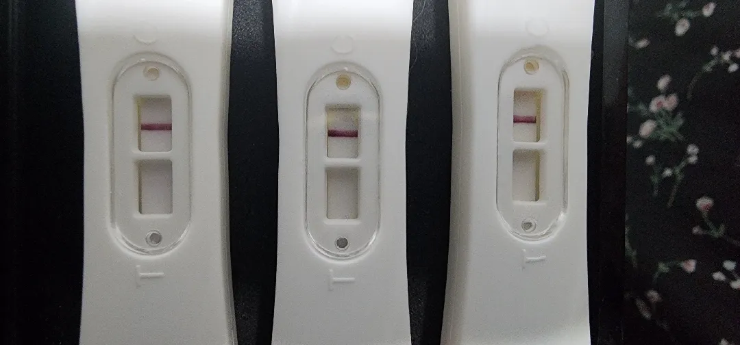 이번에도 임테기 오류일까바...